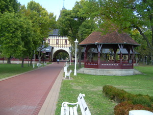DIGITAL CAMERA